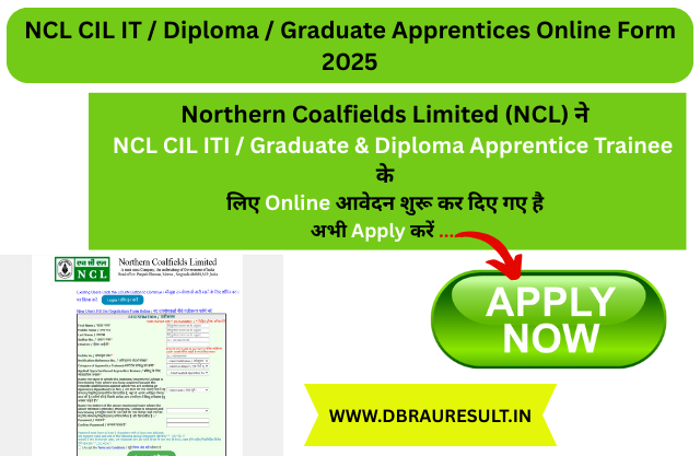 NCL CIL IT  Diploma  Graduate Apprentices Online Form 2025