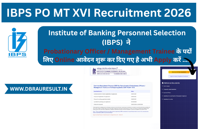 IBPS PO MT XVI Recruitment 2026