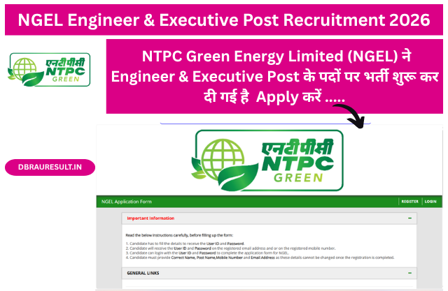 NGEL Engineer & Executive Post Recruitment 2026